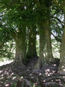 Avebury